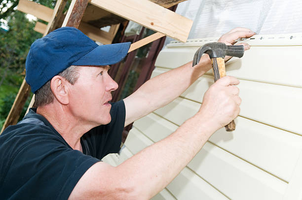 Best Brick Veneer Siding  in Nebo, NC